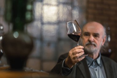 Senior graybeard Caucasian man, a wine connoisseur, holding a glass, analyzing the red wine through sight, smell, and taste clipart