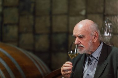 Wine expert tasting quality of white wine in a wine cellar, toasting by raising his glass