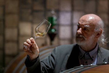 Beyaz takım elbiseli, eski bir şarap mahzeninde elinde ahşap fıçılarla dikilmiş kırmızı şarabı ustalıkla tadıyor, bir rengi, kokuyu ve tadı kontrol ediyor.