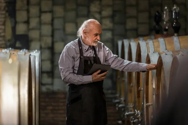 stock image Caucasian experienced winemaker checking a wine aging in barrels data, using a touchpad tablet. Traditional and modern technology concept.