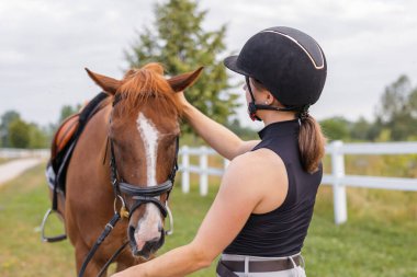 Kadın binici el nazikçe okşuyor güzel, kırmızı at yelesi, yakın çekim. Eşya ve hayvan sever kavramı.