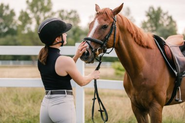 Siyah kasklı bir kadın kestane rengi at kafasını okşuyor, yakın çekim. İnsan ve hayvan ilişkileri kavramı.