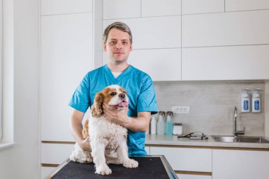 Klinikte sağlık muayenesinden önce şirin bir köpekle veteriner doktor portresi. Veteriner ziyareti konsepti.