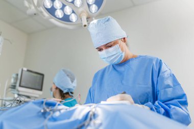 Kadın veteriner cerrah, bir hayvan hastanesi ameliyathanesinde köpek kanserli tümörü aldırdıktan sonra yarayı dikiyor..