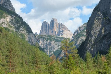 Tre Cime di Lavaredo 'nun yükselen zirveleri bereketli yeşil vadilerin ve Dolomitlerin çam ormanlarının üzerinde yazın açık mavi gökyüzünde sürüklenen bulutlarla görkemli bir şekilde yükselir..