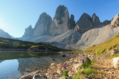 Tre Cime di Lavaredo 'nun nefes kesici manzarası berrak, güneşli bir günde yemyeşil ve canlı kır çiçekleriyle çevrili sakin bir göle yansıyan engebeli tepeler sergiliyor..