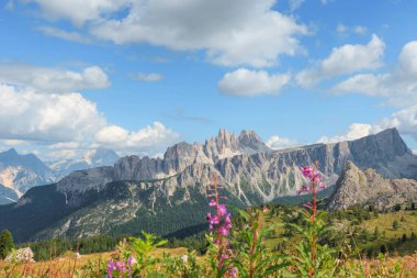 Görkemli dağ zirveleri mavi gökyüzü ve kabarık bulutlara karşı yükselir. Önplanda canlı kır çiçekleri açar, Dolomitlerin yazın büyüleyici güzelliklerini gözler önüne serer..