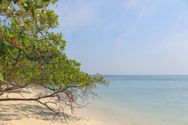Yumuşak beyaz kum, berrak mavi gökyüzünün altında durgun turkuaz sularla buluşur. Bereketli yeşillik huzurlu sahili çerçeveler, Tayland 'da sakin bir gün için mükemmel doğal güzellik..