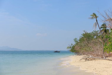 Tayland 'da sakin bir sahil yumuşak, kumlu kıyılara ve berrak mavi sulara sahiptir. Geleneksel bir balıkçı teknesi ufukta süzülür, yemyeşil ve uzak dağlarla çevrili..
