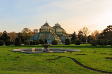 Ziyaretçiler, gün batımında çarpıcı cam yapıların yer aldığı Viyana palmiye evindeki bahçelerin huzurlu atmosferinin keyfini çıkarıyorlar. Bereketli yeşillik zarif pınarları çevreleyerek, huzurlu bir geri çekilme sağlar..