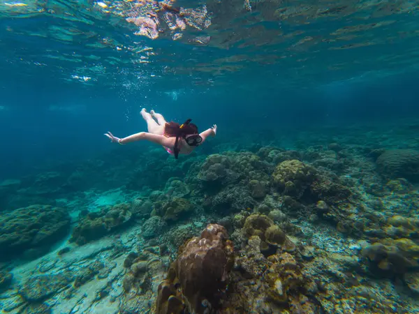 Dalgıçlar, berrak mavi suların altında renkli deniz yaşamlarıyla çevrili çarpıcı bir mercan resifini keşfediyorlar. Güneş ışığı yüzeyden süzülür, sualtı manzarasını aydınlatır..