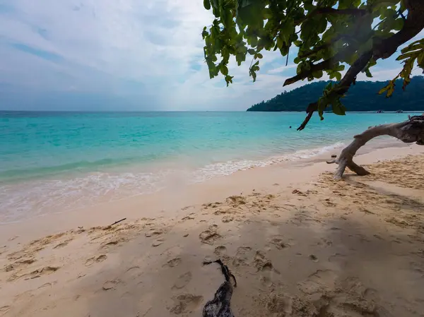 Turkuaz sular ufka doğru uzanırken yumuşak dalgalar kumlu kıyıya çarpar. Bereketli yeşillik bu sakin kıyı bölgesini süslüyor, doğanın güzelliklerinin arasında rahatlamaya davet ediyor..