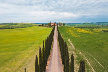 Uzun selvi ağaçlarıyla çevrili manzaralı bir yol İtalya 'nın kırsalında büyüleyici bir villaya doğru uzanır. Bölgeyi çevreleyen yemyeşil alanlar barışçıl bir atmosfer yaratıyor..
