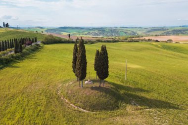 İtalya, Toskana 'da üç görkemli selvi ağacı dünyaya hakim. Etrafı yemyeşil tarlalarla çevrili olan manzara, kırsalda sakin bir öğleden sonranın dingin güzelliğini yakalıyor..
