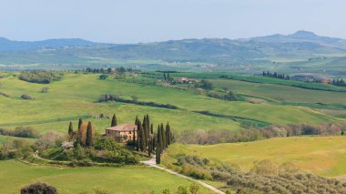 Güzel, yemyeşil tepeler Toskana manzarası boyunca uzanır, selvi ağaçları ve büyüleyici bir villa sergilenir. Bu sakin yer, kırsal İtalyan güzelliğinin özünü yansıtıyor..