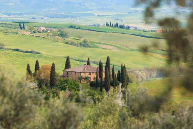 İtalya 'nın Toskana kenti boyunca uzanan yemyeşil manzaralarda, uzun selvi ağaçları ve çiçek açan bitkilerle çevrili zarif bir villa bulunuyor..