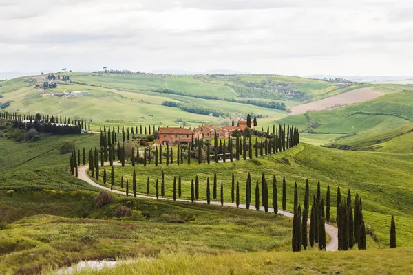 Uzun selvi ağaçları ile kaplı yemyeşil tepeler uzak mesafelere kadar uzanır. Kırsal kesimin güzelliğini gözler önüne seren titrek manzaranın arasında, antika bir villa duruyor..