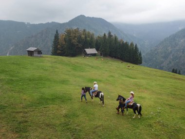Güzel doğal bir çevre dersi sırasında profesyonel eğitmenlerin rehberliğinde atlarla kaynaşan okul katılımcılarına binmek