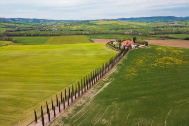 Resmedilmeye değer bir manzarada canlı yeşil alanlar ve kırsal bir çiftlik evine giden uzun selvi ağaçları bulunur. Yumuşak tepeler bulutlu bir gökyüzünün altında uzanıyor.