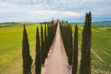 Uzun selvi ağaçlarıyla çevrili bir villaya doğru uzanan çakıllı bir yol var. Tuscany 'nin yemyeşil tepeleri arka planda yavaşça yükseliyor bulutlu bir günde sakin bir atmosfer yaratıyor..