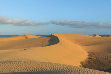 Geniş kum tepecikleri ufka doğru yavaşça yükseliyor, parlak mavi bir gökyüzünün altında, dağınık bulutlarla sakin okyanusla buluşuyor..