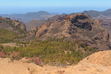 Kanarya Adaları 'ndaki açık mavi gökyüzü altında kayalık araziyi ve yemyeşil Fuerteventura' yı gösteren manzara..