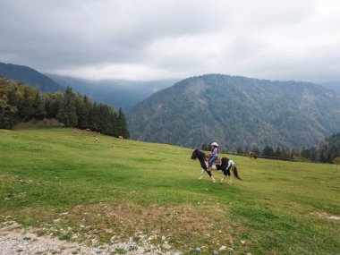 Kendine güvenen bir kovboy kızı sahnesinin özgün batı sahnesi. Hafif bir sis altında manzaralı dağ arazisinde at sürüyor.