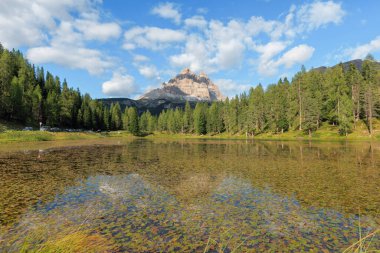 Parlak güneş ışığı Antorno Gölü 'nün sakin sularından yansıyor. Gölün etrafını saran uzun çam ağaçları ve arka planda yükselen dramatik dağ zirveleri nefes kesici bir dağ manzarası yaratıyor..