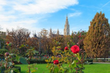 Ziyaretçiler huzurlu ortamın tadını çıkarırken parkta güller açıyor. Arka planda, açık mavi gökyüzünün altında renkli sonbahar yapraklarıyla çerçevelenmiş tarihi bir kule yükseliyor..