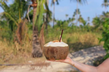Bir insan taze bir hindistan cevizi tutar, tatlı suyunun tadını çıkarmaya hazır. Bereketli yeşillik kumlu yolu sarar, Tayland 'ın tropikal manzarasının gevşek atmosferini somutlaştırır..