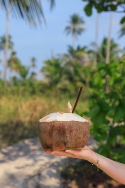 Tayland 'da tropik yeşilliklerle çevrili yeni açılmış bir hindistan cevizini pipetle tutmak. Sıcak güneş ışığı, dingin manzaranın ve ferahlatıcı içeceğin güzelliğini vurgular..