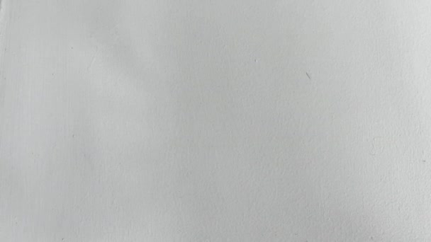 Ombre Lumière Soleil Tomber Sur Mur Béton Blanc Lumière Soleil — Video