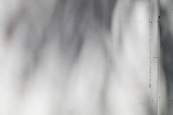 Lumière Soleil Superposition Sur Texture Mur Béton Blanc Pour Fond — Photo