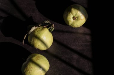 Guava fruit with leaves on dark background under morning sunlight. Sweet fruit also contains vitamin C, 5 times than orange.