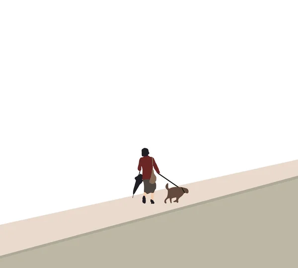 街中の綱を引っ張る犬と一緒に歩く女 ペットは親友だ避難所の動物だ — ストック写真
