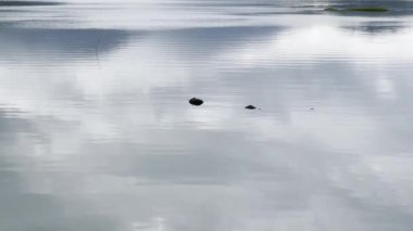 Bulutların ve gökyüzünün yansımasının sakin mavi suları. Su yüzeyinin dokusu. Küçük dalgaların hareketi. Deniz perisi. Rahatla.