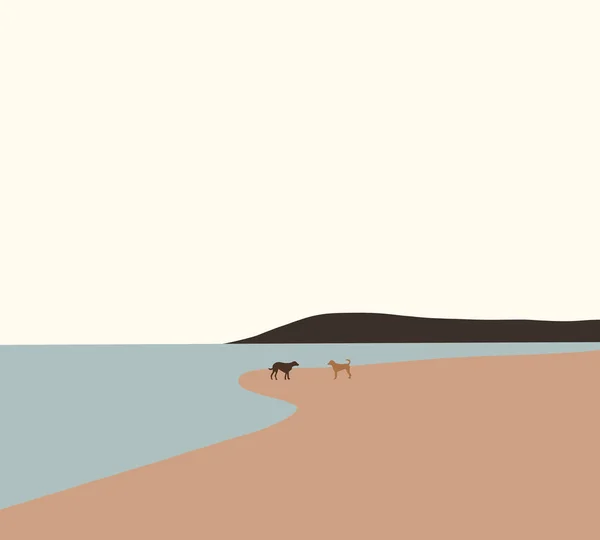 Собаки Радісно Пляжі Сонячний Літній День Біг Гра Краю Води — стокове фото