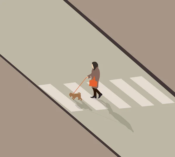 Átkel Úton Egy Gyalogos Átkelőhelyen Kutyájával Városi Parkban Nyaralás Alatt — Stock Fotó