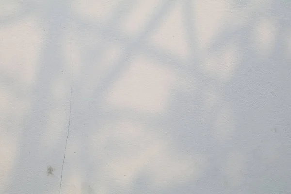 Αφήνει Σκιά Και Κλαδί Δέντρου Λευκό Τοίχο Φόντο Φως Από — Φωτογραφία Αρχείου