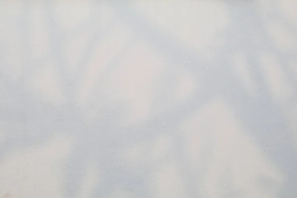 Blätter Schatten Und Ast Auf Weißen Wand Hintergrundlicht Von Sonnenlicht — Stockfoto