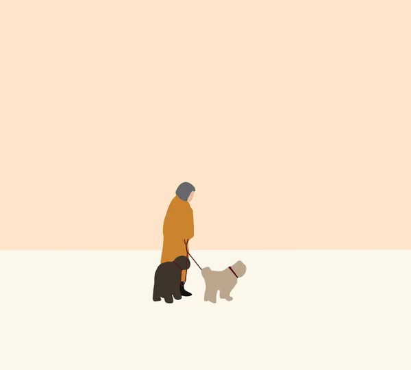 ファッション布の2匹の犬と街の通り 健康的なアクティブなライフスタイルを歩くのシニア女性 高齢者のためのアクティブなレジャー活動 — ストック写真