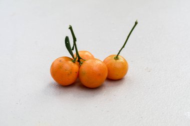 Bahçede taze mandalina meyvesi. Meyve hasadı üzerinde çalışıyorum. Mandarin Turuncu Turunçgil meyveleri narenciye ağacında yetişir.