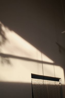 Beyaz duvar dokusunda penceredeki yaprakların gölgesi. Gölge arkaplanı. Beton duvarlı tropik yaz arkaplanı.