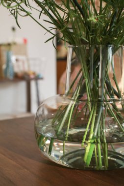 Yeşil çiçek şeffaf vazoda suyla birlikte saplanır. Cam vazo ile minimalist çiçek aranjmanı. Ahşap masada güzel bir buket