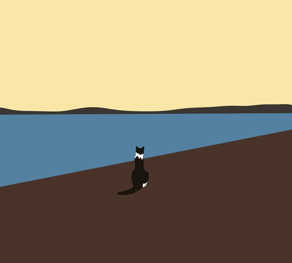 Czarny Kot Siedzi Odwraca Wzrok Wokół Jeziora Wczesnym Rankiem Domowy — Zdjęcie stockowe