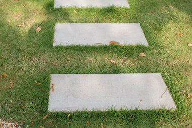 Sabah güneşi altında yeşil çimen tarlasında taştan fayanslar olan yol. Yeşil bahçede peyzaj. Doku ve arkaplan.