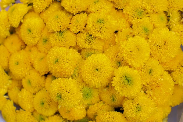 Yellow flower bouquets for sale at Flower Market. Daisy flower background pattern.. Blooming spring or summer meadow