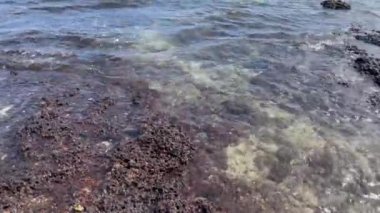 Deniz dalgaları taşlı kıyılardaki kayalara çarpıyor. Kum tropik plajı. Doğa, element ve manzara kavramı.