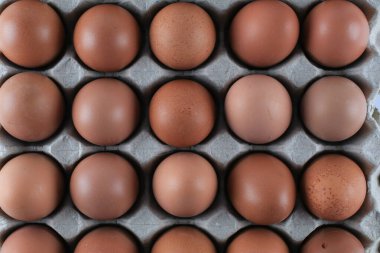 Beyaz arka planda yumurta kartonunda çiğ tavuk yumurtası. Doğal sağlıklı gıda ve organik tarım kavramı.