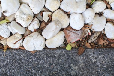 Bahçede beton yolu olan beyaz doğal taş zemin, kaya kürek malzeme dokusu, soyut arkaplan ve doku.